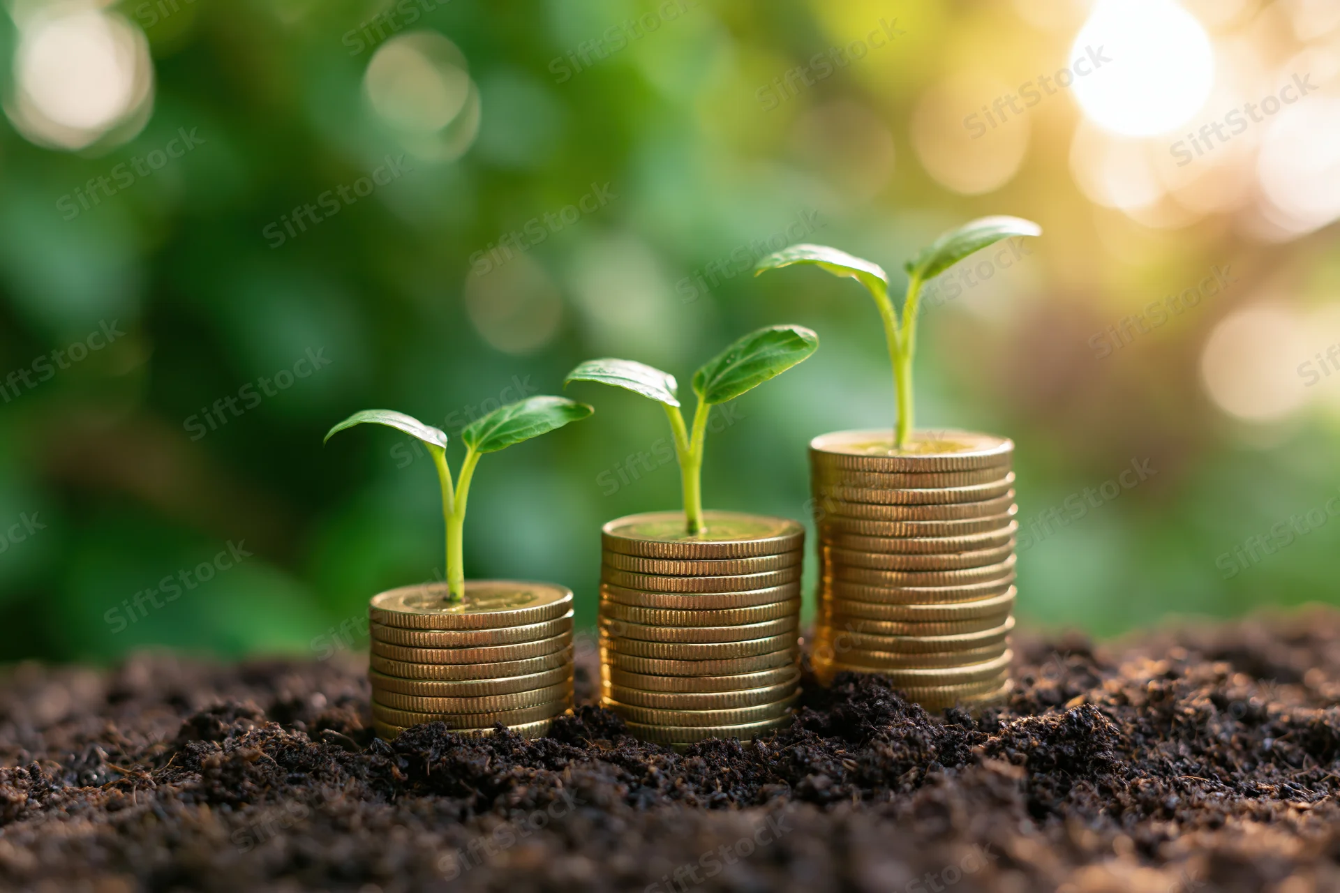 Three green seedlings growing from stacks of gold coins in soil with blurred green foliage and sunlight in background