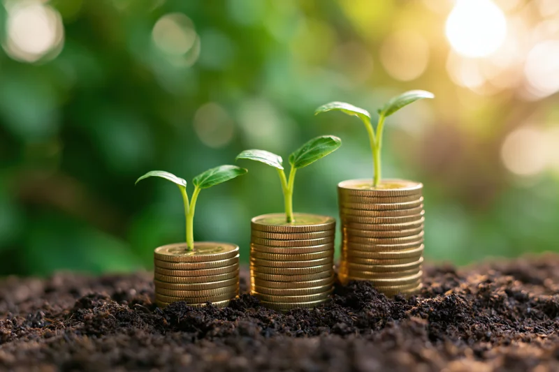 Three green seedlings growing from stacks of gold coins in soil with blurred green foliage and sunlight in background