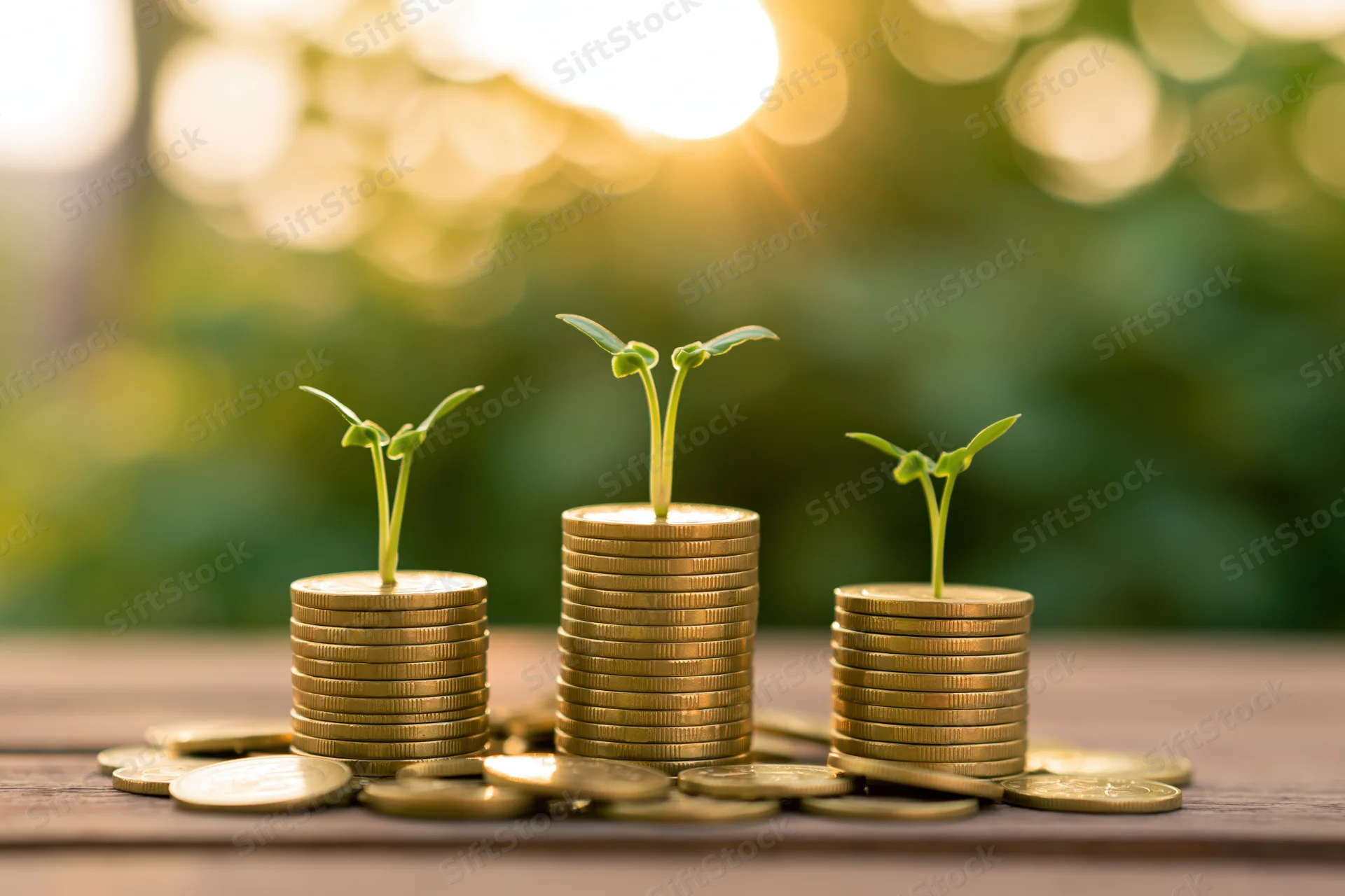 Three stacks of coins with green seedlings growing from them on a wooden table outdoors in sunlight