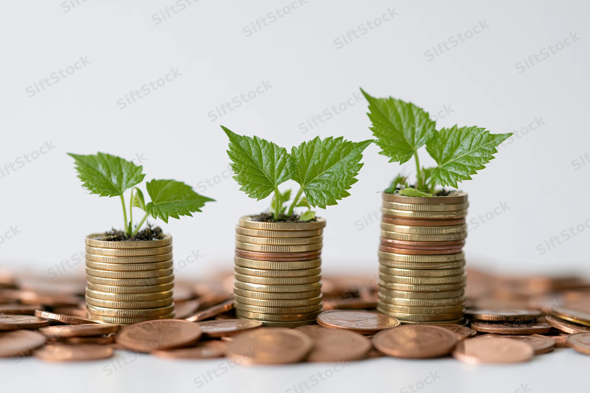 Three stacks of coins with green plants growing from them on a white surface