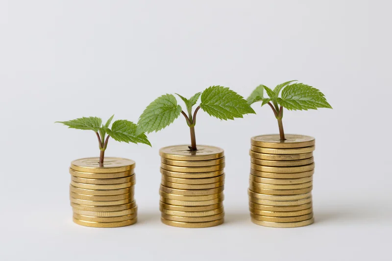 Three stacks of gold coins with green plants growing from them, arranged in ascending height on a white surface