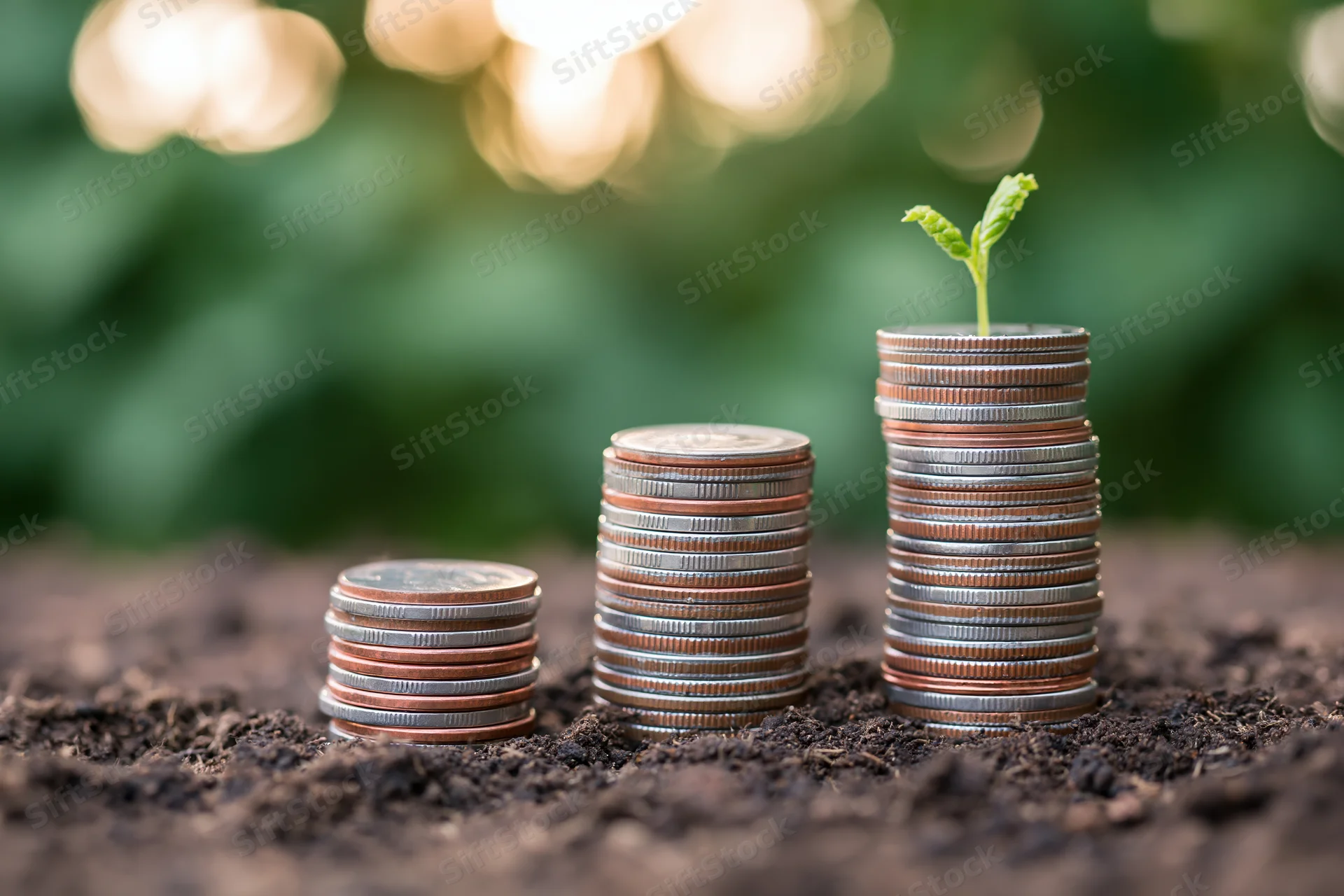 Three stacks of coins increasing in height with a small green sprout growing from the tallest stack in dark soil