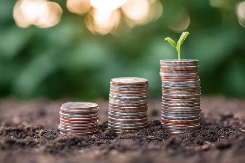 Three stacks of coins increasing in height with a small green sprout growing from the tallest stack in dark soil