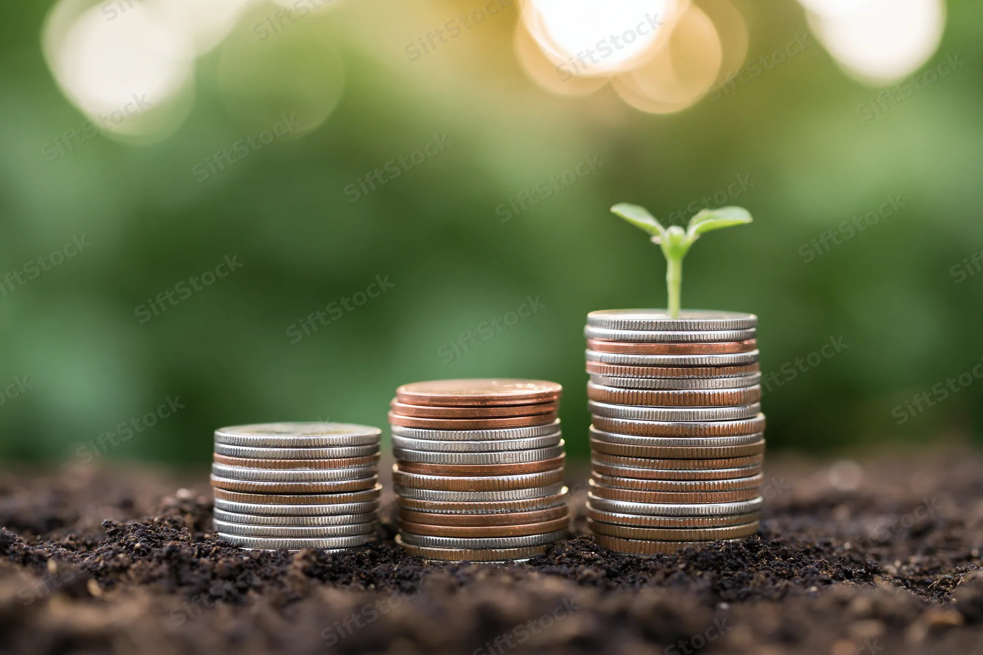 Three stacks of coins increasing in height with a small green plant sprouting from the tallest stack on dark soil