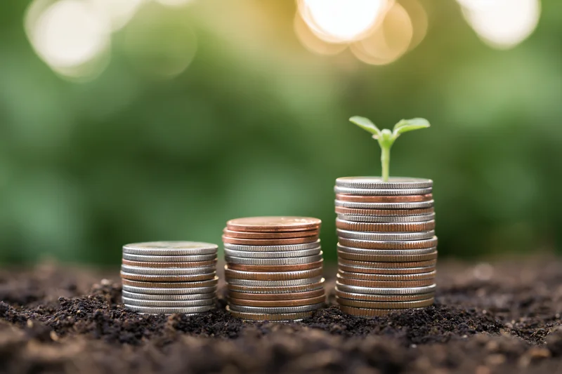 Three stacks of coins increasing in height with a small green plant sprouting from the tallest stack on dark soil