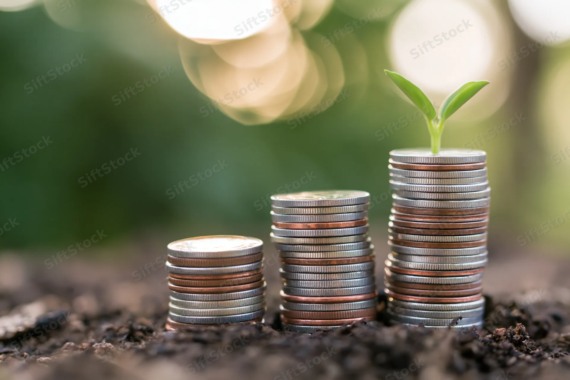 Three stacks of coins increasing in height with a small green plant sprouting from the tallest stack in dark soil