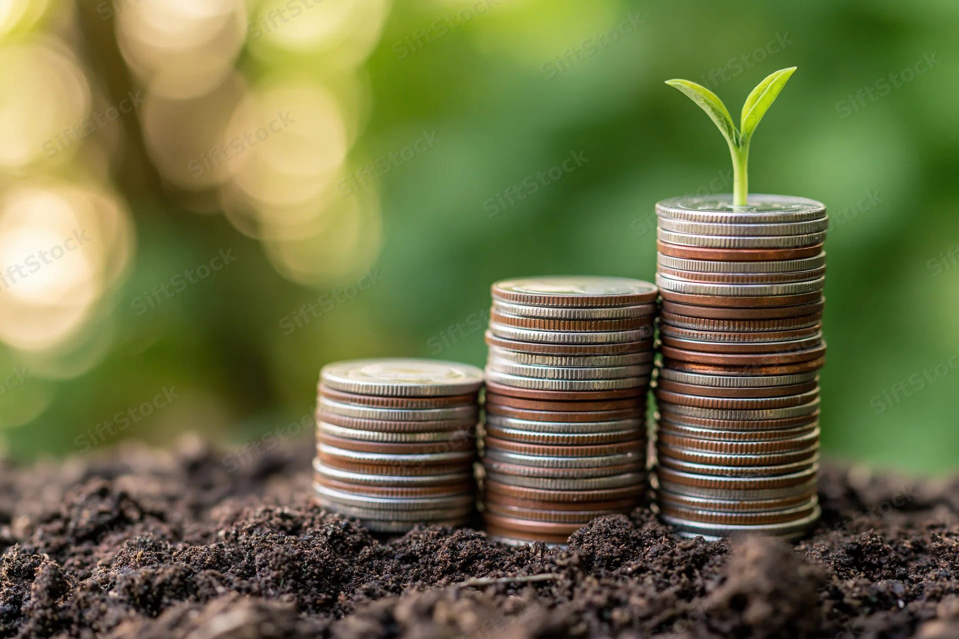 Three stacks of coins increasing in height with a green sprout growing from the tallest on dark soil outdoors