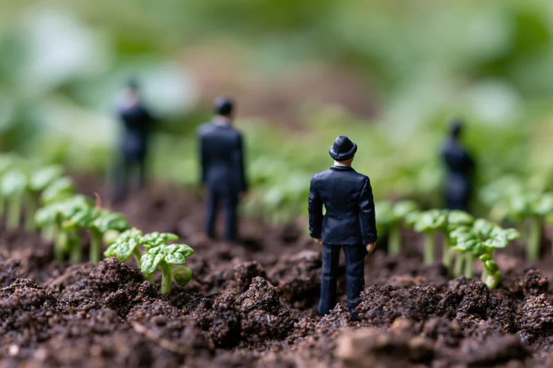 Miniature businesspeople in dark suits standing among seedlings in soil