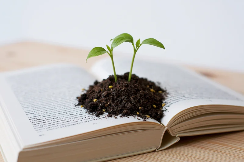 Two small green seedlings growing from soil on an open book resting on a wooden table