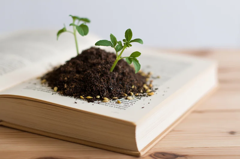 Two small green seedlings growing from soil on an open book resting on a wooden table