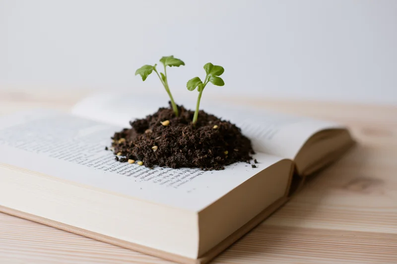 Two small green seedlings growing from soil on an open book resting on a wooden table