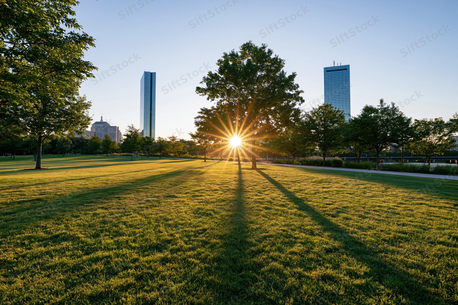 Open green lawn in urban park at sunrise with city skyline in background