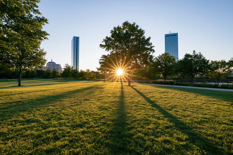 Open green lawn in urban park at sunrise with city skyline in background