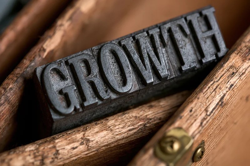 Vintage metal letterpress type spelling growth resting in a wooden box