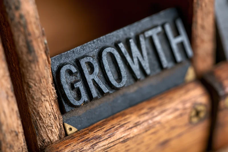 Vintage metal letterpress type spelling growth inside a wooden tray