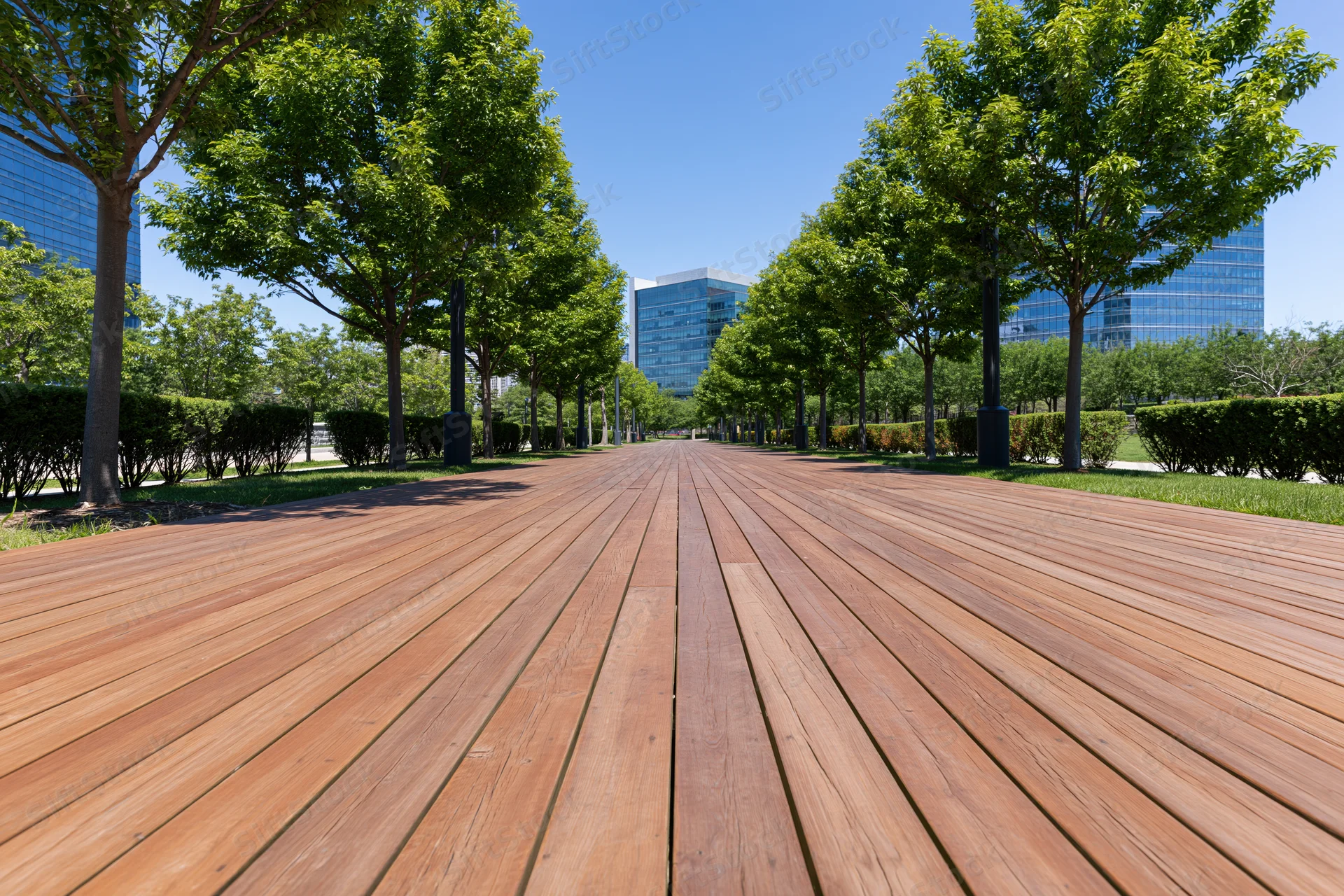 Wooden boardwalk path lined with trees leading toward modern glass buildings in an urban park setting