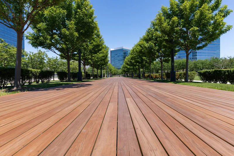 Wooden boardwalk path lined with trees leading toward modern glass buildings in an urban park setting