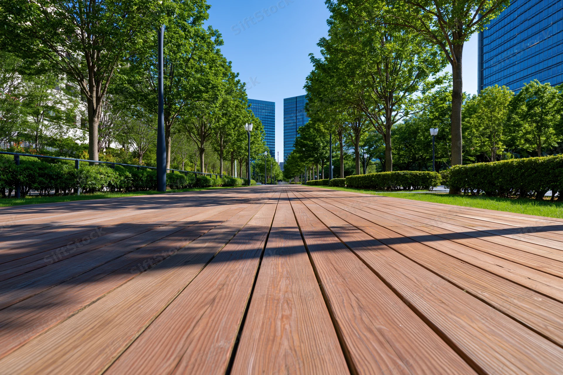 Wooden boardwalk path lined with trees leading toward modern skyscrapers in an urban park