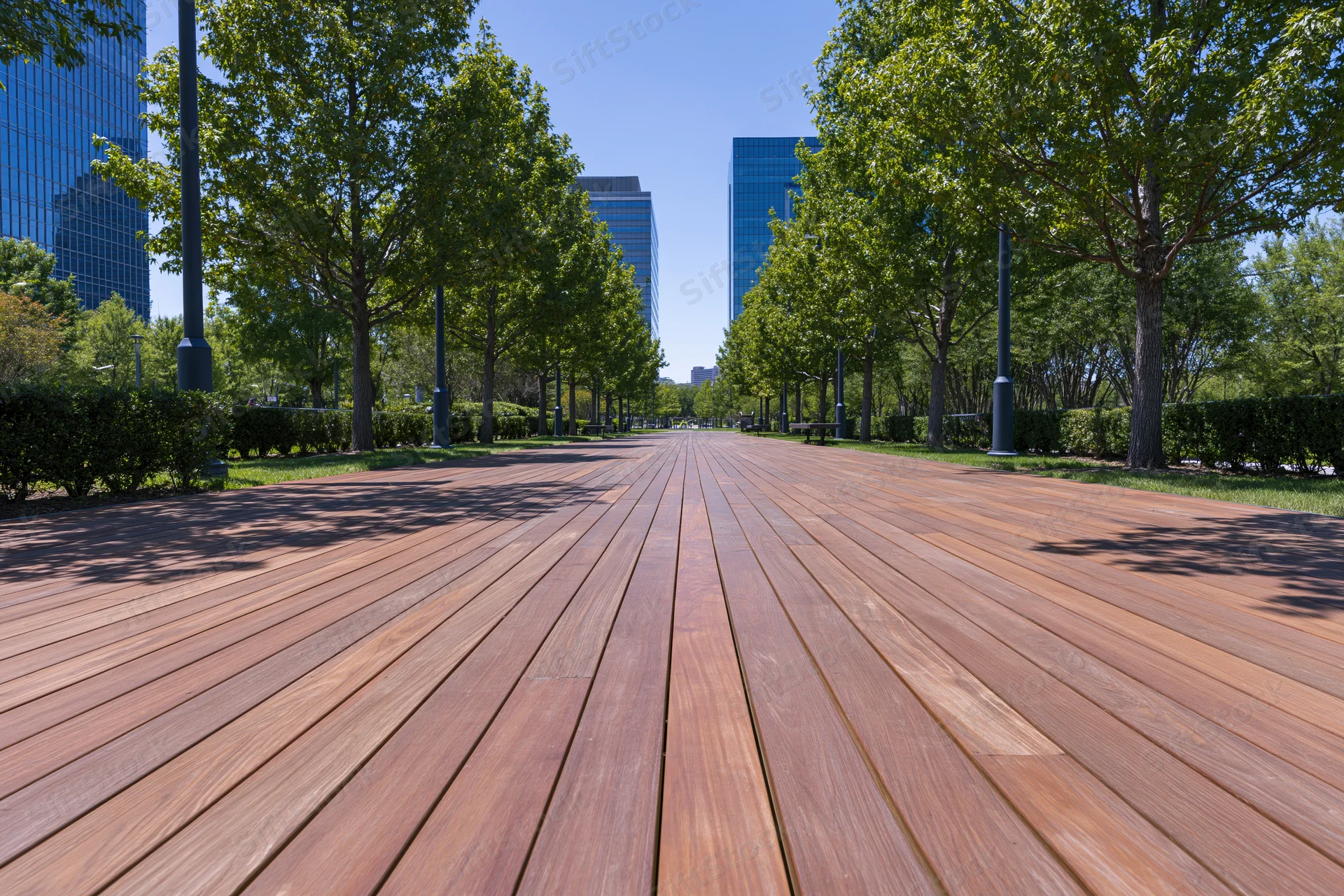 Wooden boardwalk path lined with trees and lampposts leading toward modern skyscrapers in an urban park