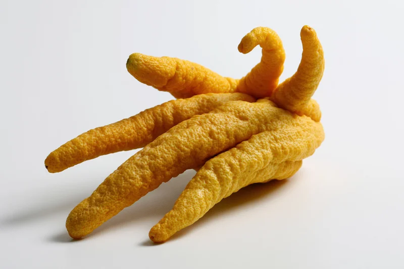 Buddhas hand citron fruit resting on plain white surface