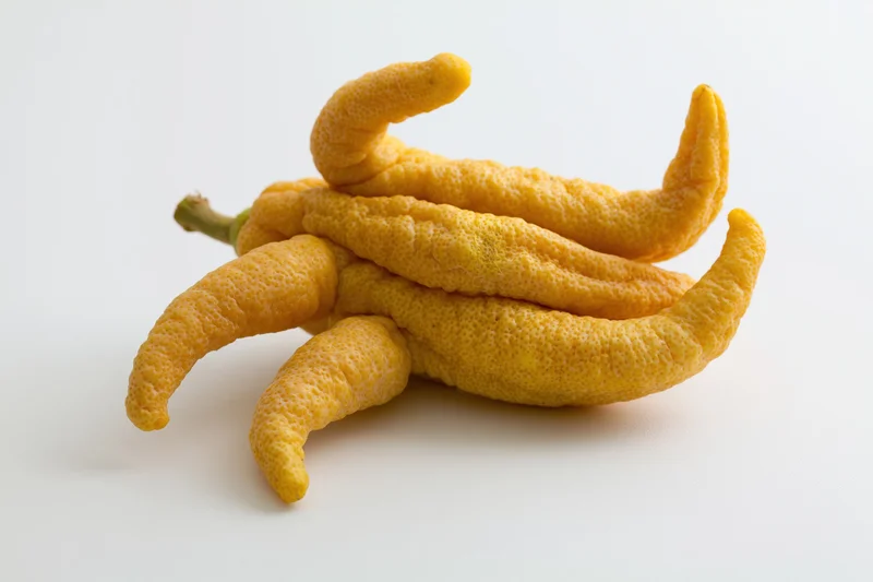 Buddhas hand citron fruit resting on a plain white surface