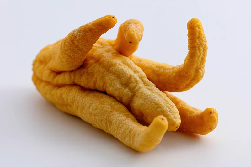 Buddhas hand citron fruit resting on plain white surface