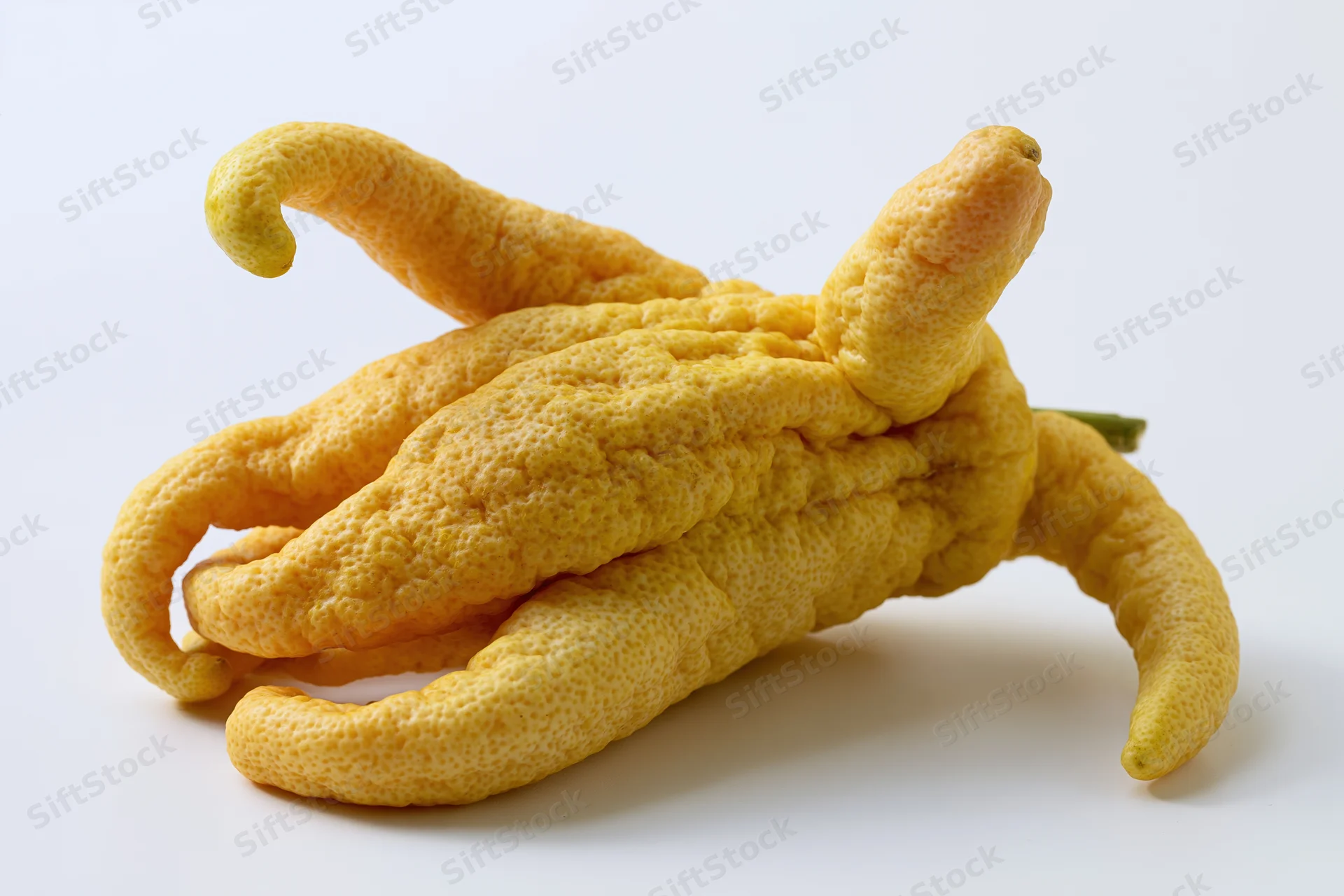 Buddhas hand citron fruit resting on plain white surface