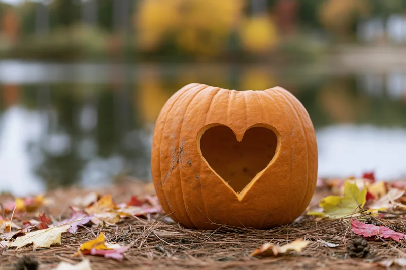 Carved pumpkin with heart-shaped cutout resting on ground covered in autumn leaves near water
