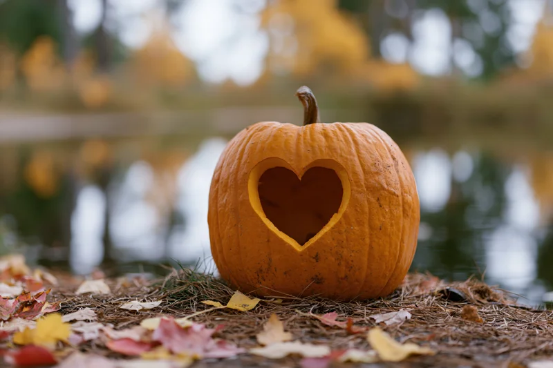 Carved pumpkin with heart-shaped cutout on ground covered in autumn leaves near water