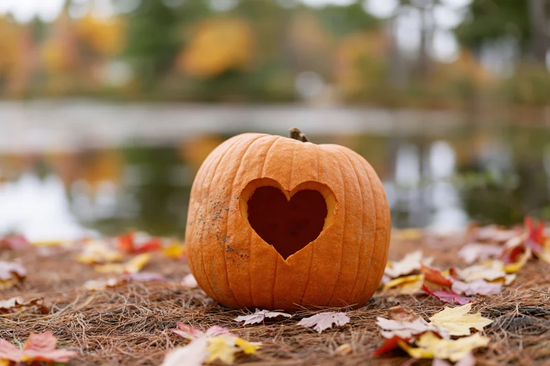 Carved pumpkin with heart-shaped cutout resting on ground covered in autumn leaves near a lake