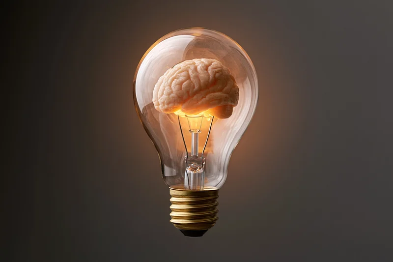 Lightbulb containing a human brain glowing with warm light against dark background