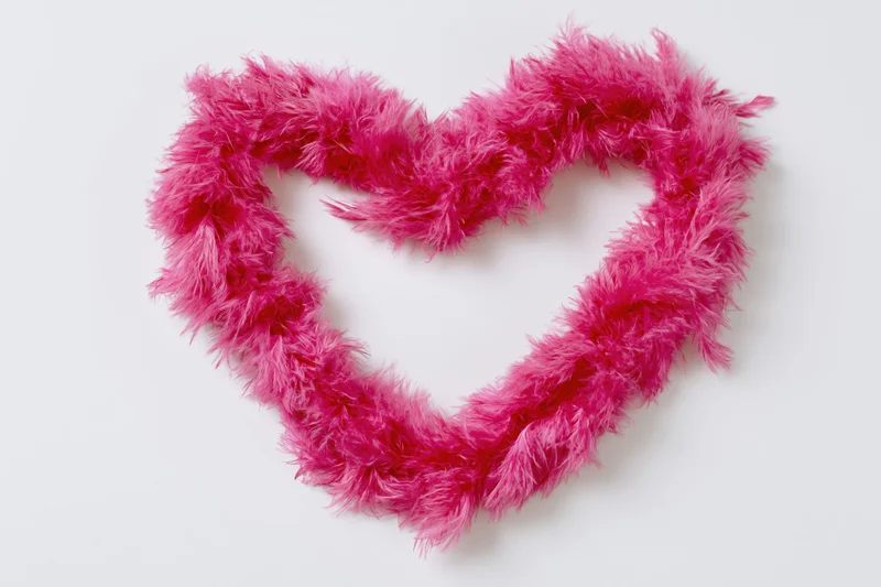Heart-shaped feather boa arranged on white background