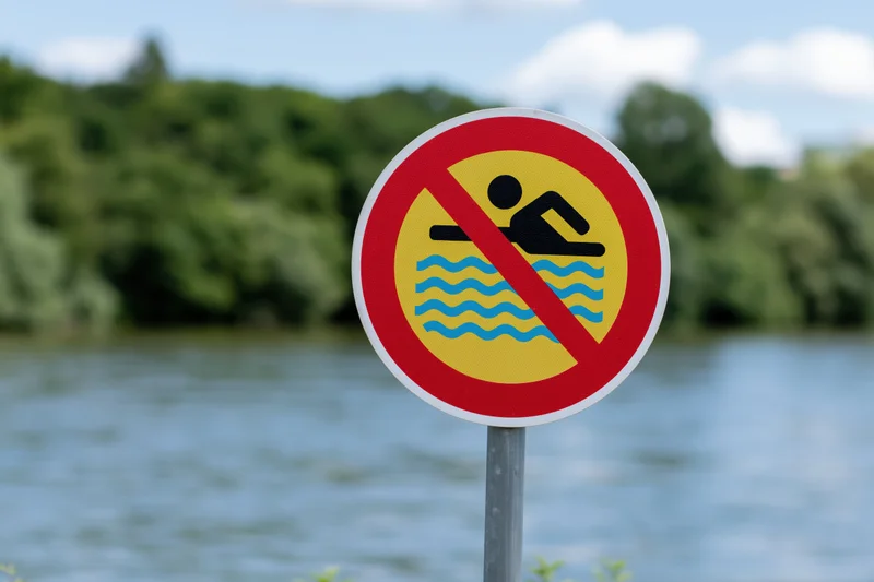 Round prohibition sign forbidding swimming near a lake with trees in the background