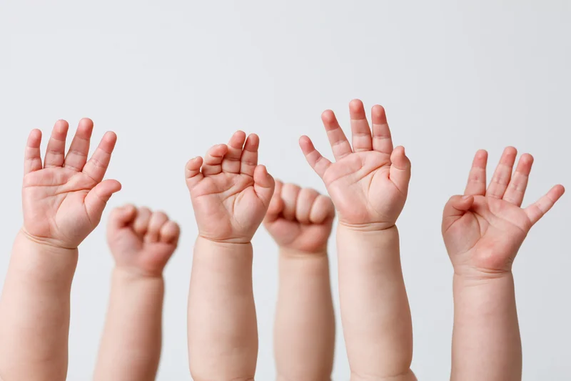 Baby and toddler hands raised upward against a white background with copyspace