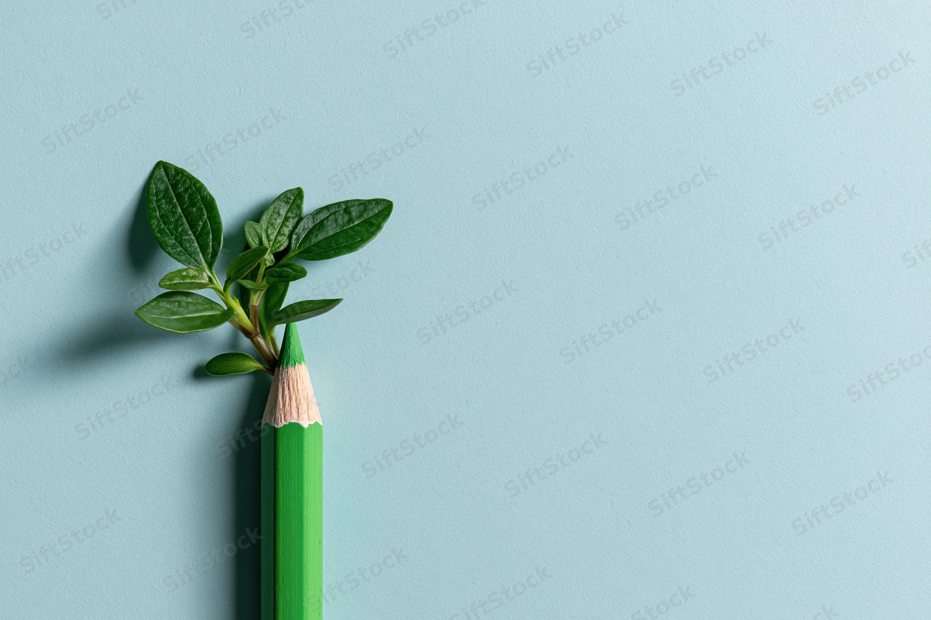 Green pencil with small plant growing from its tip on light blue background