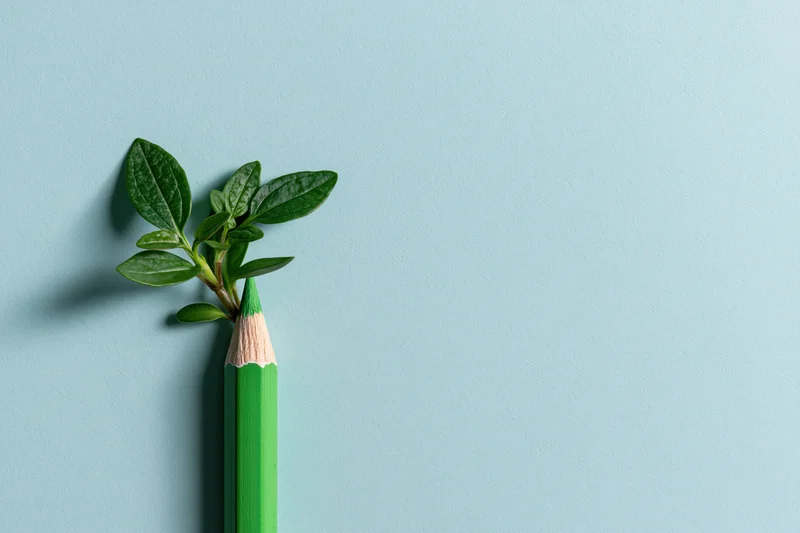 Green pencil with small plant growing from its tip on light blue background