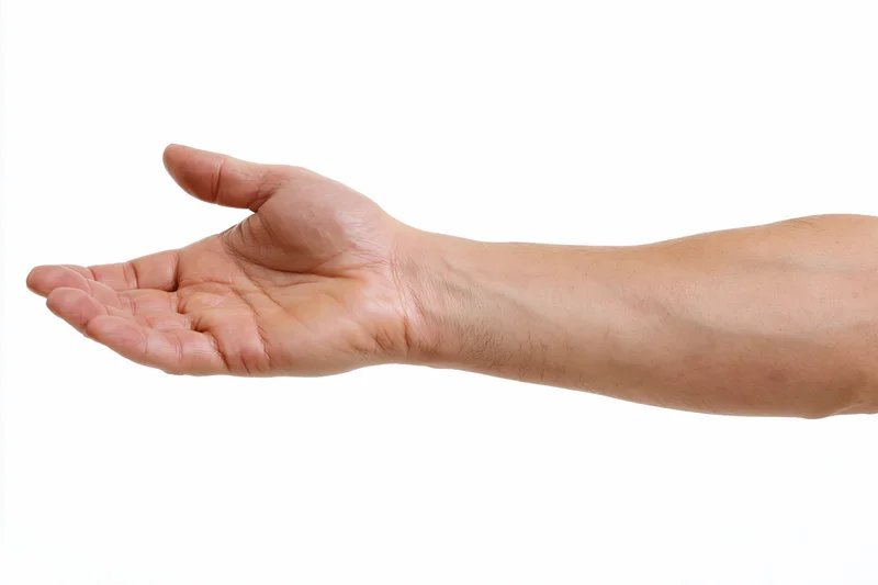 Open hand extended against white background with copyspace for text or product placement