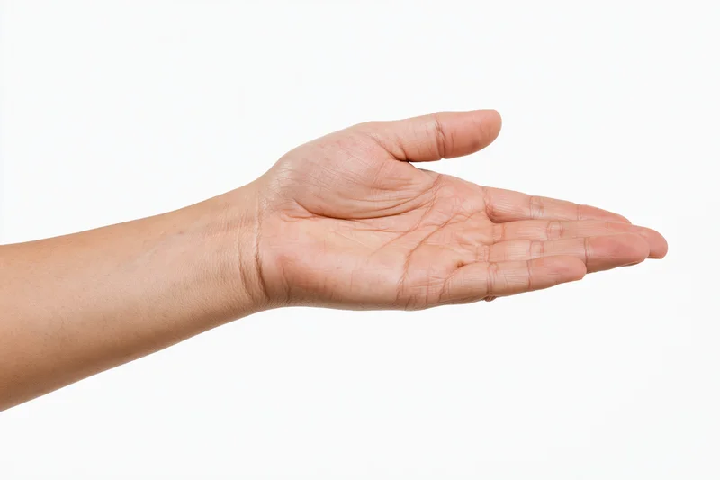 Open hand extended against white background