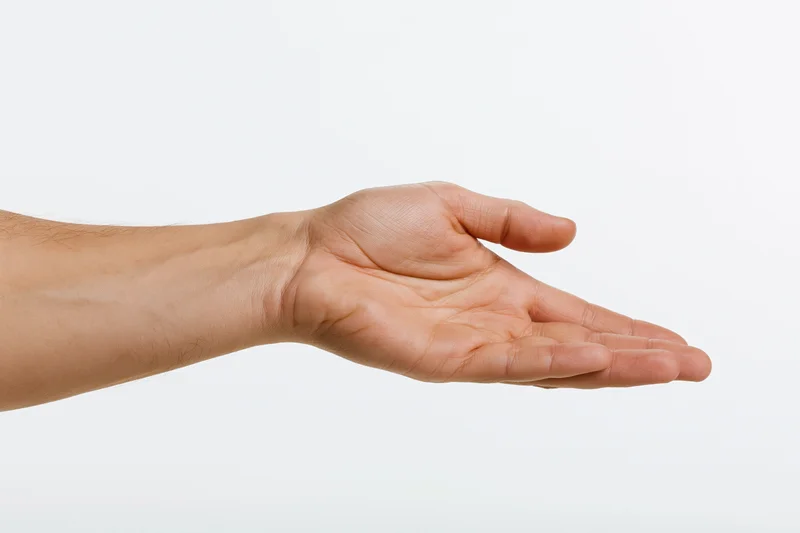 Extended human hand palm up against white background