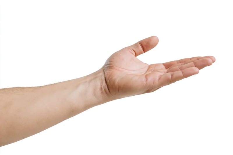 Extended human hand palm up against white background