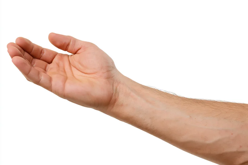 Male hand and forearm making a gentle grasping gesture against white background