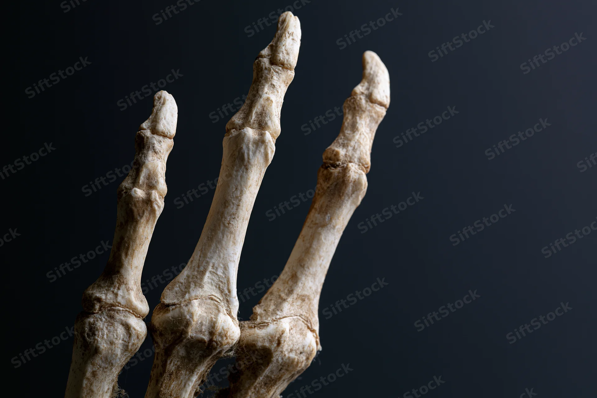Skeletal hand with clawed fingers reaching upward against dark background