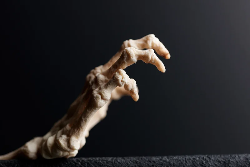 Skeletal hand figurine with clawed contorted fingers on dark surface