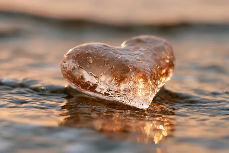 Translucent ice heart sculpture resting in shallow water at sunset on a beach
