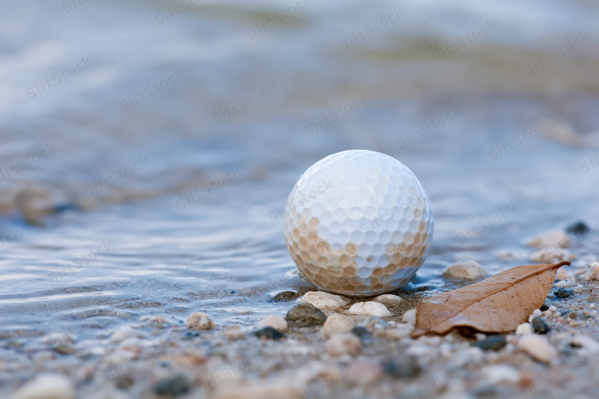Golf ball resting on wet sand near water with pebbles and a leaf