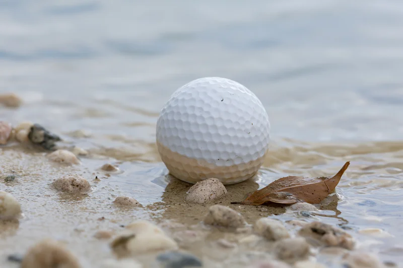 White golf ball resting on wet sand at beach shoreline with shells and leaf near water edge