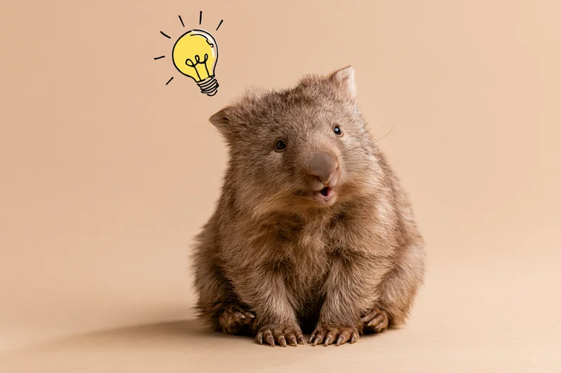 Young wombat sitting upright with open mouth and cartoon lightbulb above its head on beige background