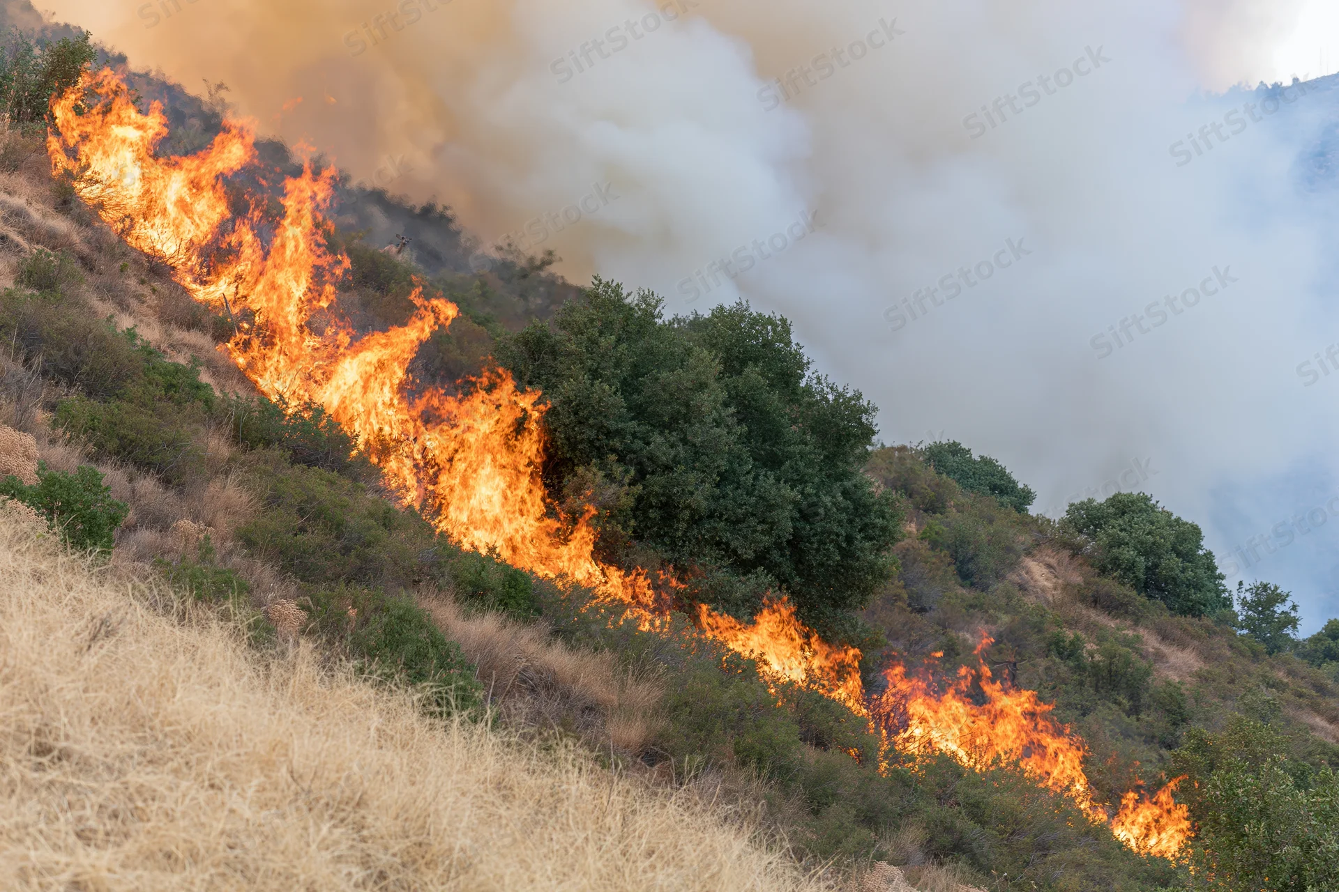 Wildfire burning across a steep hillside covered in dry grass and shrubs