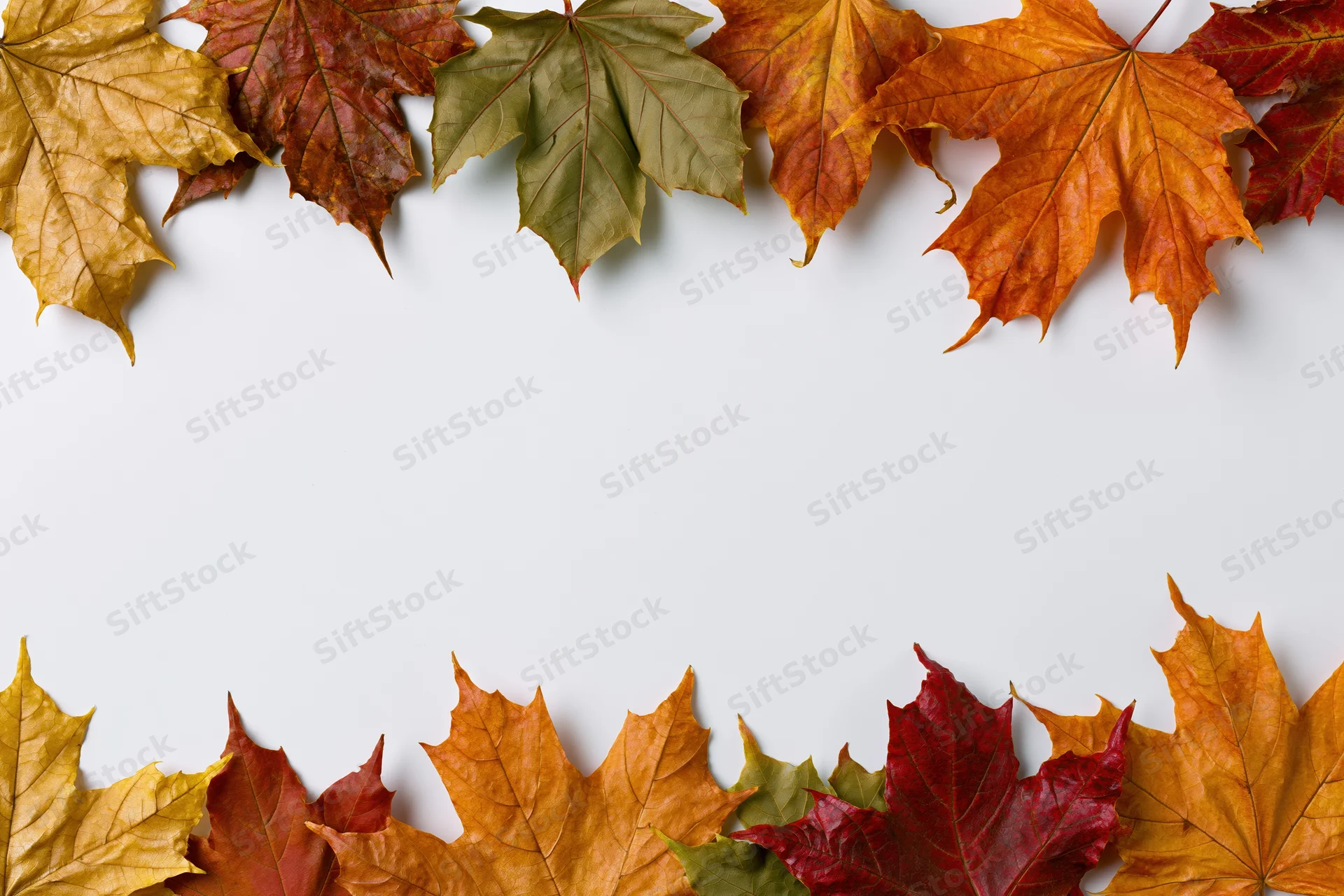 Maple leaves arranged in a flat-lay border frame along the top and bottom of a white surface with copyspace in the center