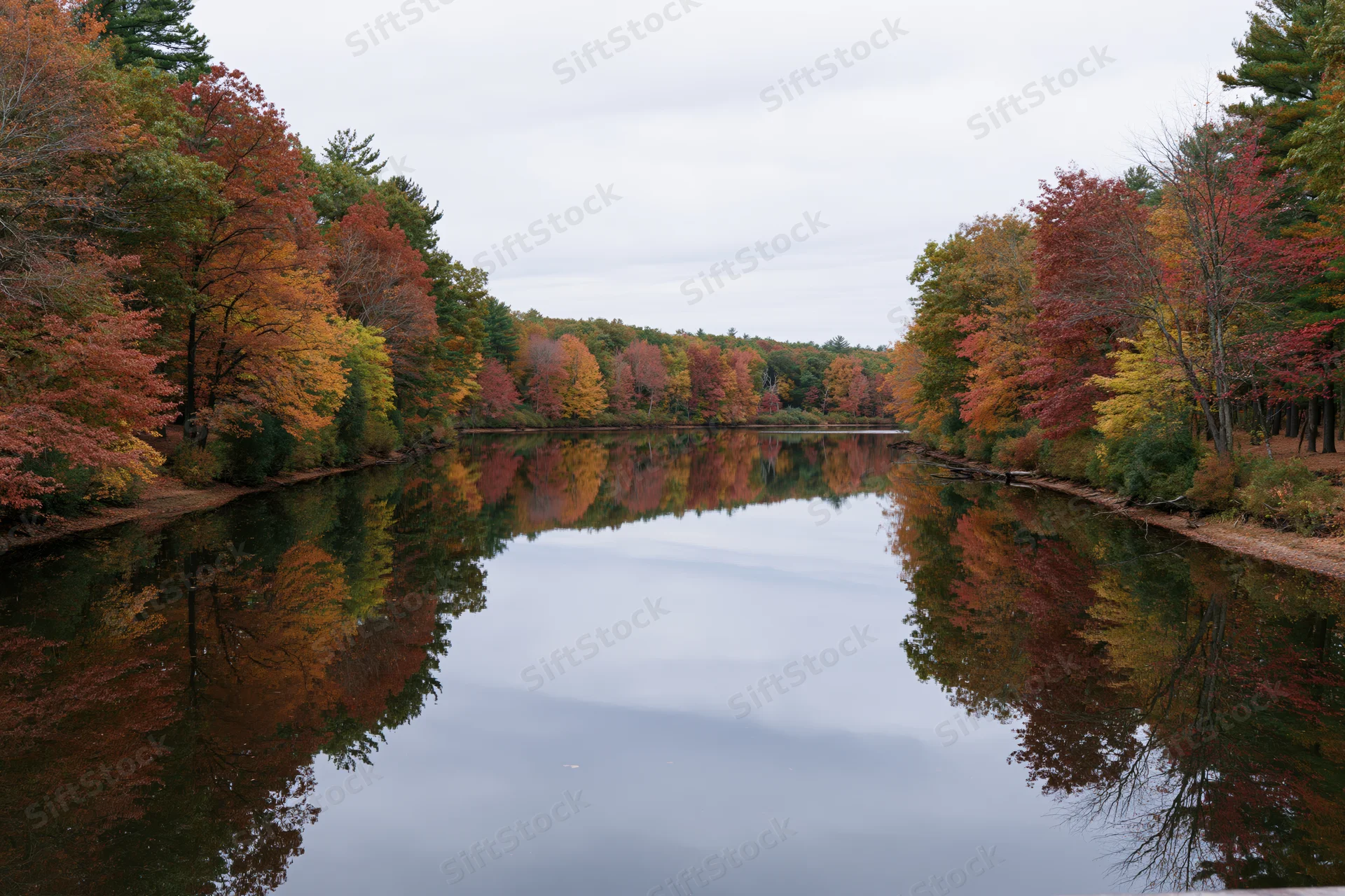 Calm river reflecting autumn trees in a forested landscape